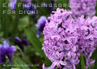 Klick zu den E-Cards