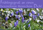 Klick zu den E-Cards