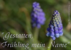 Klick zu den E-Cards