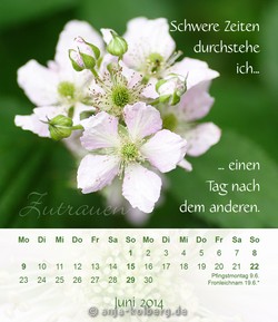 Tischkalender 'Ich bin gut zu mir' Juni 2014 