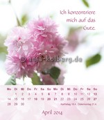 Tischkalender 2014: Kurze Meditationen