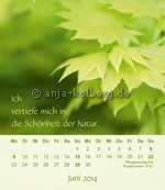 Tischkalender 2014