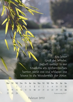 Februar 2012- Wandkalender 