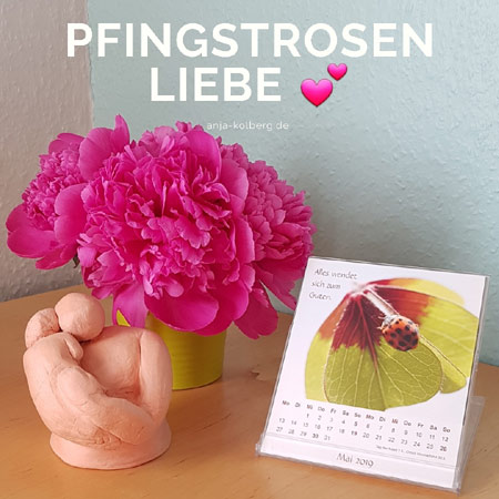 Pfingstrosenliebe