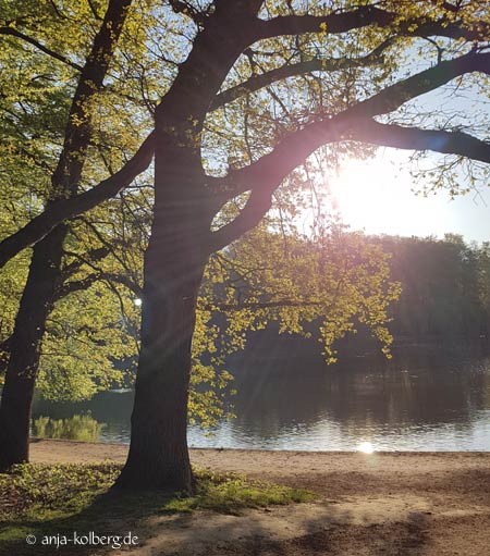 Adenauer Weiher