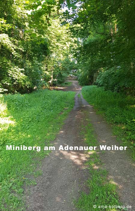 Miniberg am Adenauer Weiher Köln