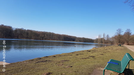 Decksteiner Weiher Parkbank Sonne Februar