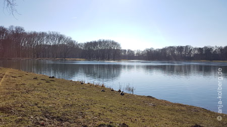 Decksteiner Weiher Köln im Februar