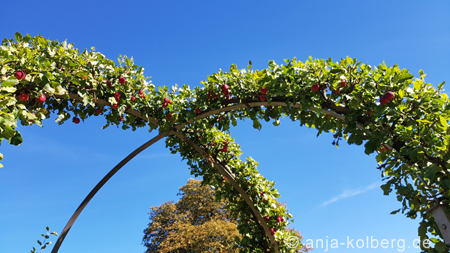 Botanischer Garten