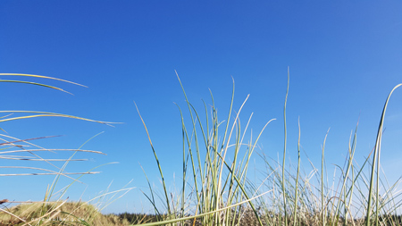 Stille am Meer Dänemarksglücksgefühl