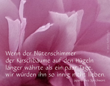 E-Card Kirschblüte