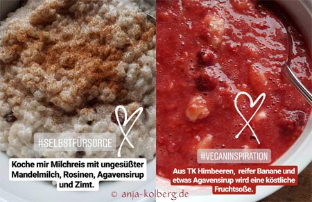 Veganer Milchreis mit Fruchtsoße