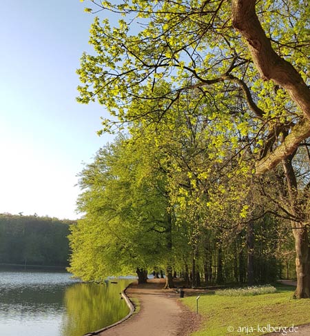 Adenauar Weiher Köln