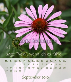 Tischkalender 2010 - vor Weihnachten gibt es den neuen Kalender 2011 hier zu kaufen